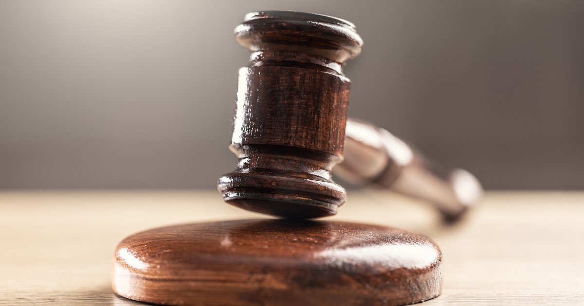 250 vies violées : l&rsquo;État condamné pour inaction face à Christian Nègre