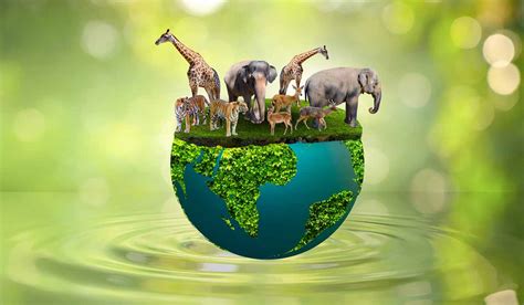 Un plateau caché révèle une biodiversité inédite en Angola