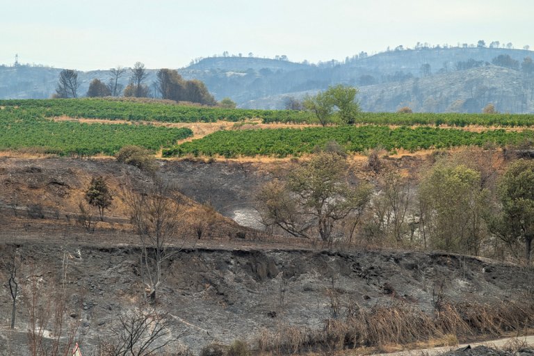 Vignes en feu : l&rsquo;effondrement économique français s&rsquo;accélère